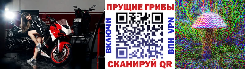 блэк спрут как зайти Любань Галлюциногенные грибы Cubensis