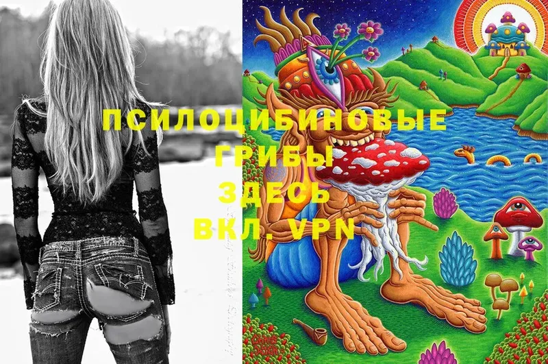 Галлюциногенные грибы MAGIC MUSHROOMS  купить наркотики сайты  Любань 